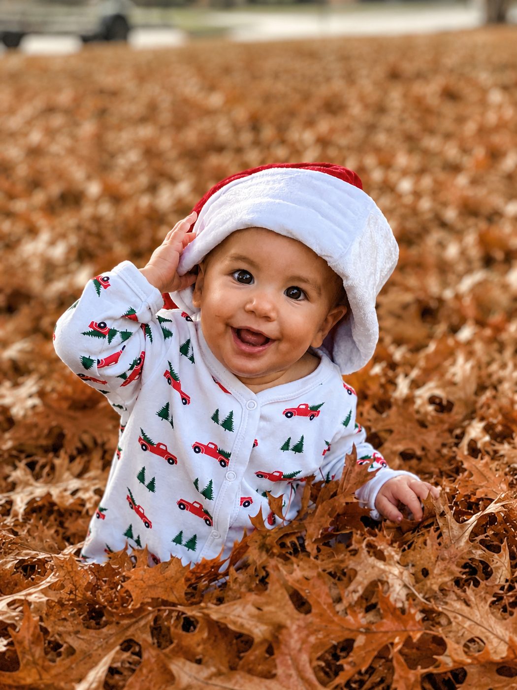 Newborn portrait