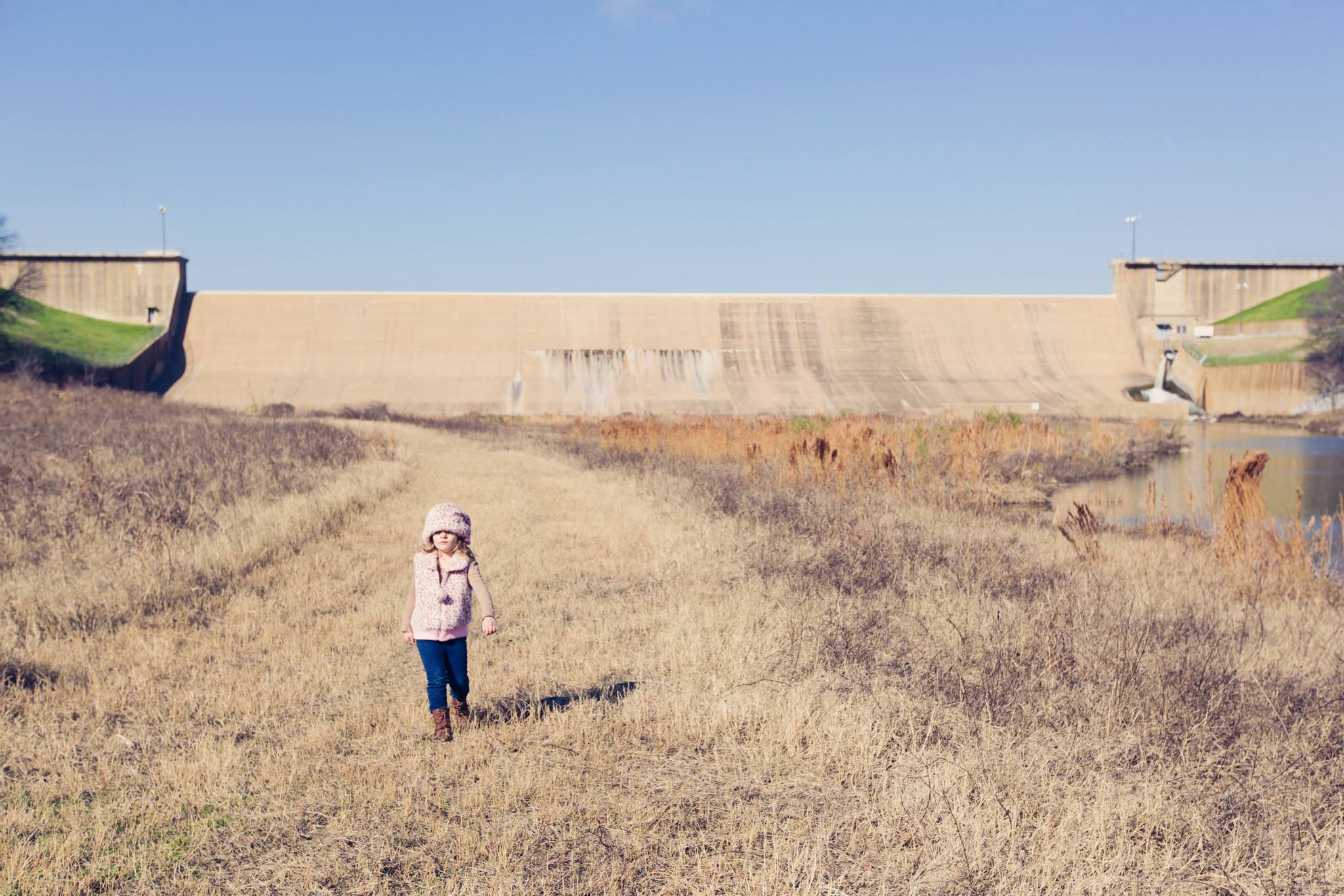 Wild Symphony, week 19